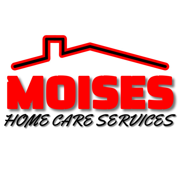 Get an amazing LOGO for your HOME CARE business